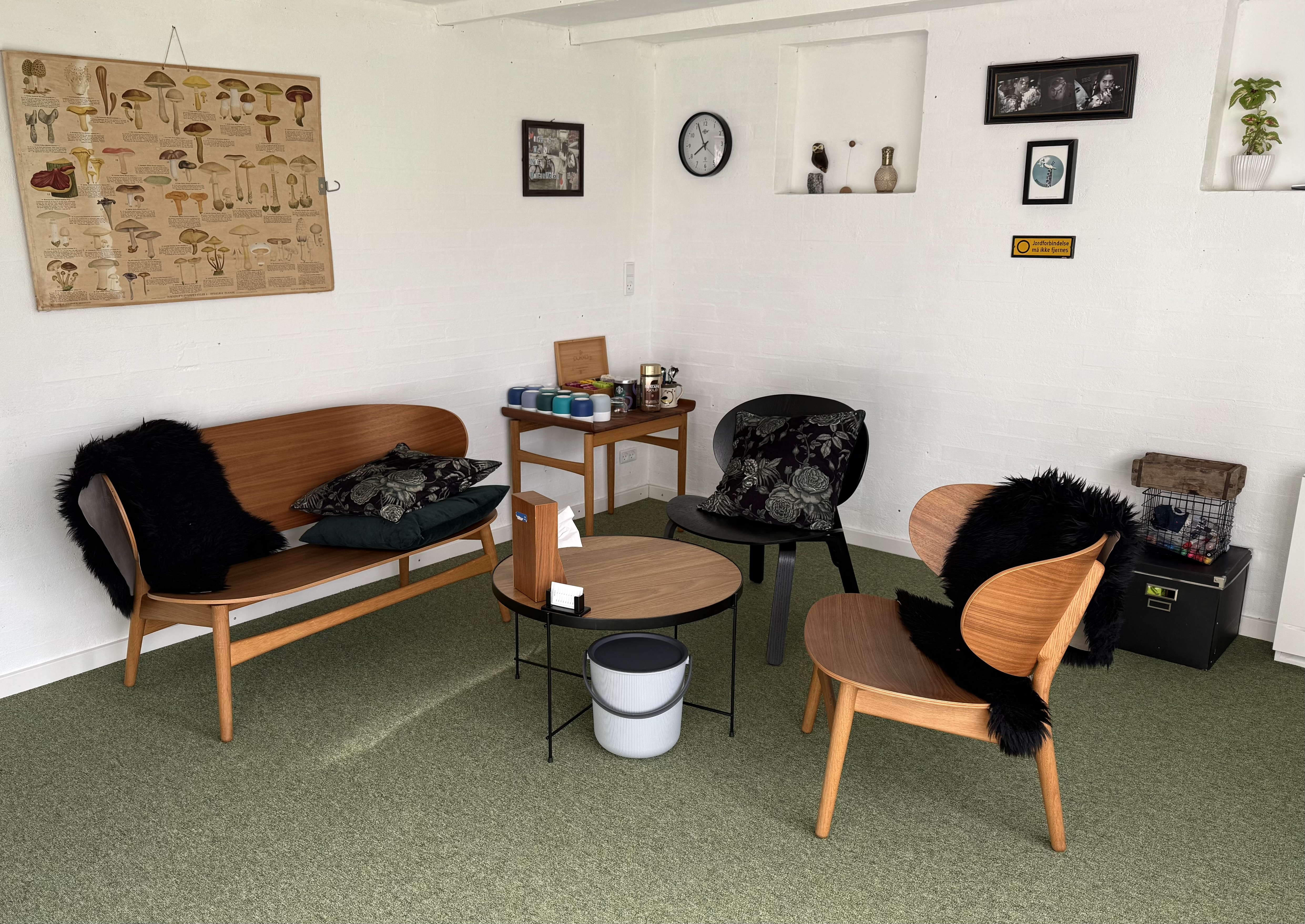 Danish consultation room